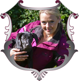 Erlebnis Module bei ADLER DOGS